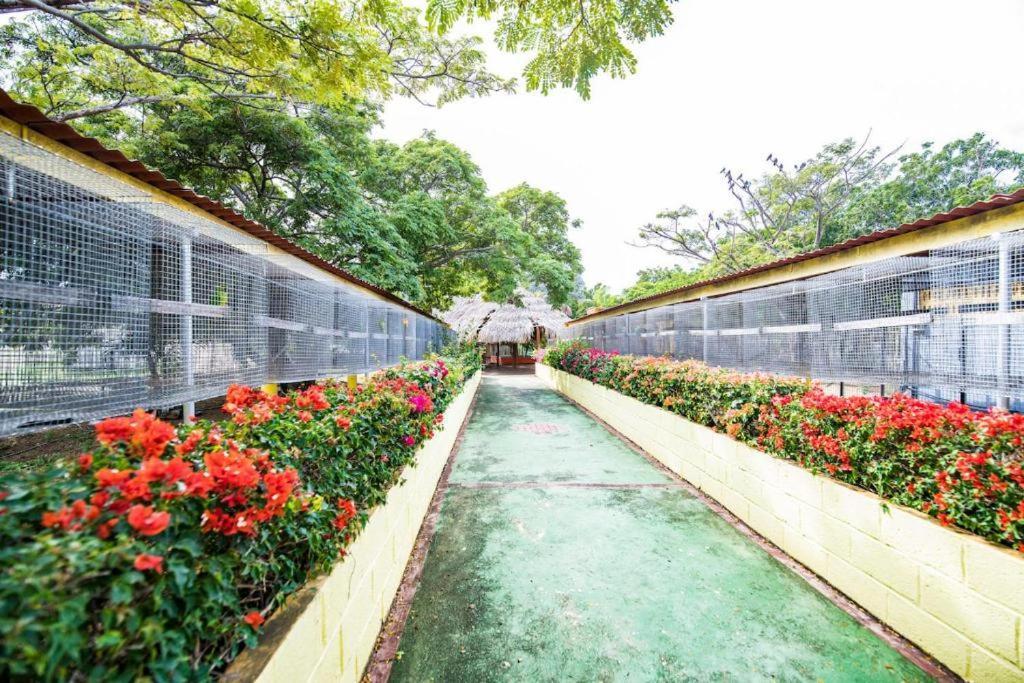 Omira Apartment Suites Willemstad Bagian luar foto